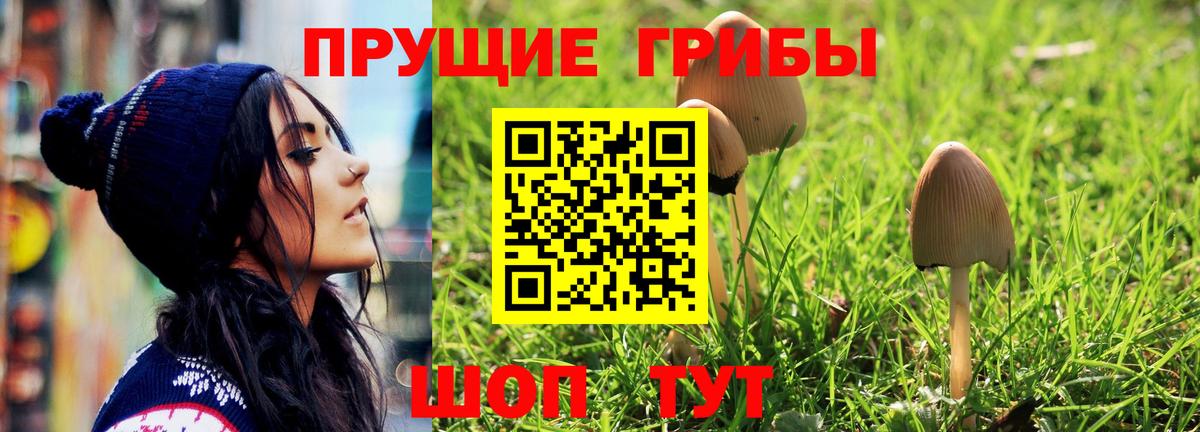 Озёры  Галлюциногенные грибы GOLDEN TEACHER  хочу   Вход с VPN  Псилоцибиновые грибы MAGIC MUSHROOMS 